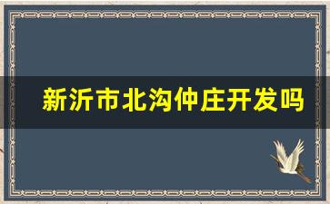 新沂市北沟仲庄开发吗