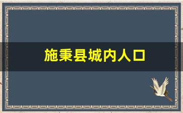 施秉县城内人口