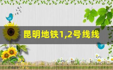 昆明地铁1,2号线线路图_昆明1号线2号线合并