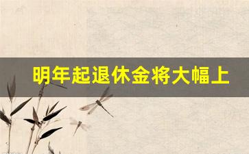 明年起退休金将大幅上涨的原因_退休金2024上调最新政策公布