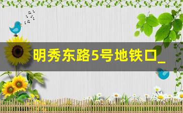 明秀东路5号地铁口_南宁五号线五一立交站出入口