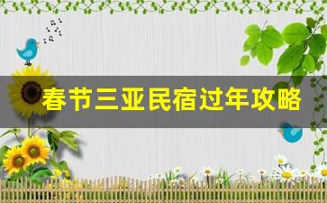 春节三亚民宿过年攻略