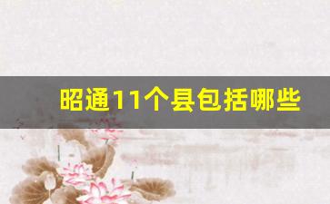 昭通11个县包括哪些_云南昭通简介