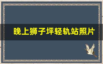 晚上狮子坪轻轨站照片