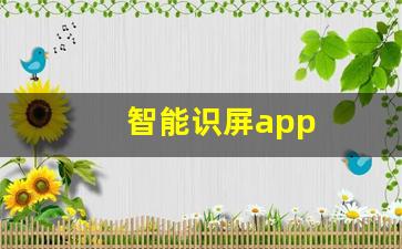 智能识屏app