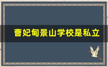 曹妃甸景山学校是私立吗_曹妃甸景山高中怎么样