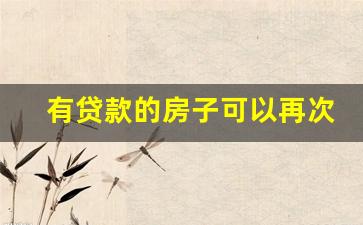 有贷款的房子可以再次抵押贷款吗_怎么贷款10万元急需要钱急急