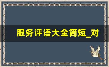 服务评语大全简短_对服务人员的赞美评价