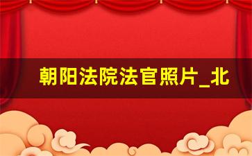 朝阳法院法官照片_北京朝阳法院法官接待表