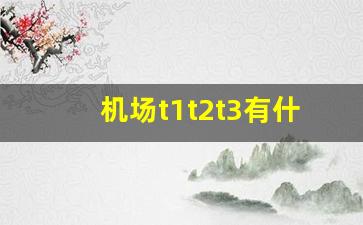 机场t1t2t3有什么区别_国内航班去T1还是T2