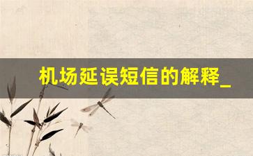 机场延误短信的解释_短信通知航班延误可以晚去机场吗