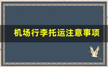 机场行李托运注意事项_托运行李飞机注意事项