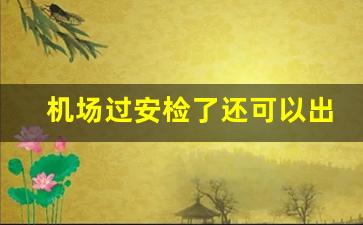 机场过安检了还可以出去吗_英国安检不能带的东西