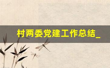 村两委党建工作总结_全面从严治党三季度点评材料