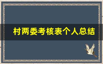 村两委考核表个人总结怎么写_两委成员年终总结报告