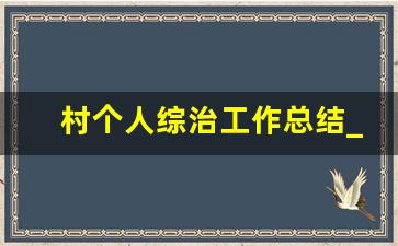 村个人综治工作总结_村综治工作开展情况