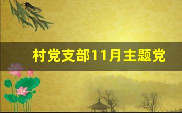 村党支部11月主题党日活动_11月主题党日活动简报