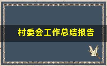 村委会工作总结报告