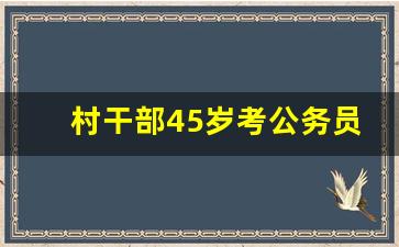 村干部45岁考公务员的