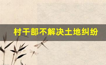 村干部不解决土地纠纷怎么办_农村宅基地门前道路纠纷
