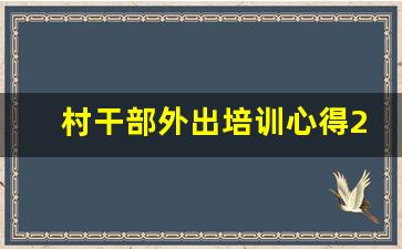 村干部外出培训心得200字