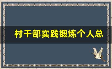 村干部实践锻炼个人总结