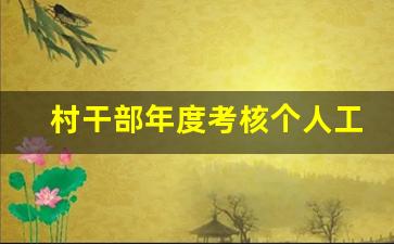 村干部年度考核个人工作总结