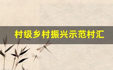 村级乡村振兴示范村汇报材料_乡村振兴试点村报告