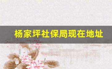 杨家坪社保局现在地址_换工作断了5个月社保怎么办