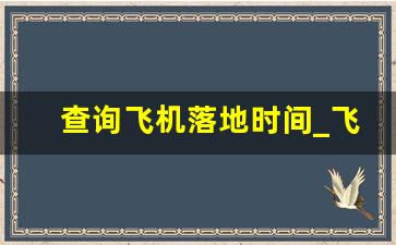 查询飞机落地时间_飞机到达时刻表查询