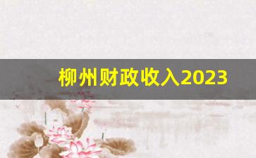 柳州财政收入2023