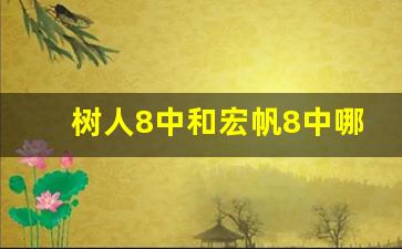 树人8中和宏帆8中哪个好一些_重庆八中树人中学初中怎样