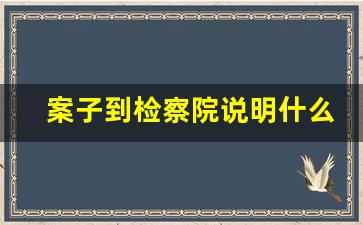 案子到检察院说明什么