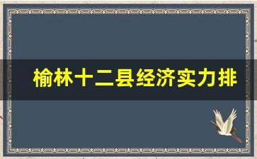 榆林十二县经济实力排名_榆林社会老大排名