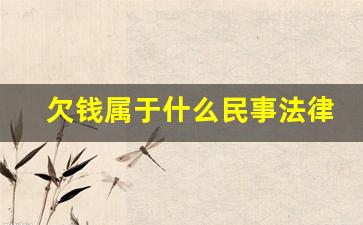 欠钱属于什么民事法律关系_举证责任倒置的八种情形法律依据