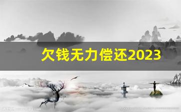 欠钱无力偿还2023新执行办法_欠钱新规定2023