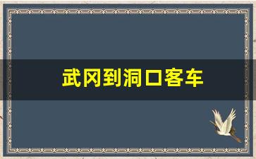 武冈到洞口客车