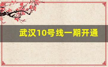 武汉10号线一期开通日期_武汉10号线阳逻段站点