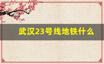 武汉23号线地铁什么时候修_古田23号地铁建成时间