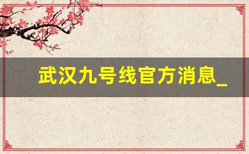 武汉九号线官方消息_武汉地铁9号线已经引起民愤