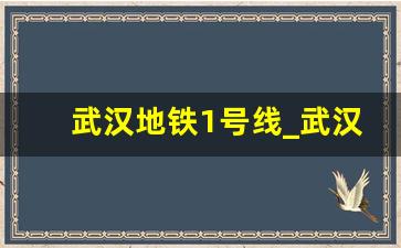 武汉地铁1号线_武汉轨道交通1号线长度