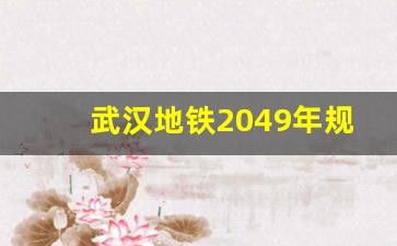 武汉地铁2049年规划线路详细