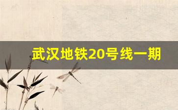 武汉地铁20号线一期最新消息_武汉地铁20号线开工时间