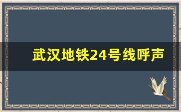 武汉地铁24号线呼声最高_9号线改规划了