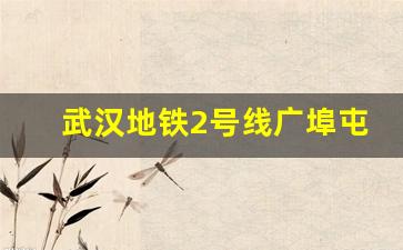 武汉地铁2号线广埠屯出口_武汉地铁几种支付方式