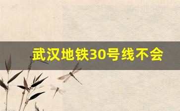 武汉地铁30号线不会建了_武汉地铁29号线公示