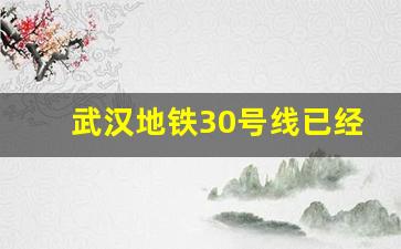 武汉地铁30号线已经引起民愤_青山区地铁10号线进展