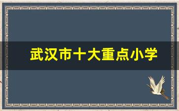 武汉市十大重点小学