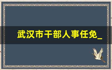 武汉市干部人事任免_湖北最新人事调整涉这些单位