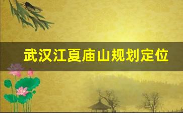 武汉江夏庙山规划定位